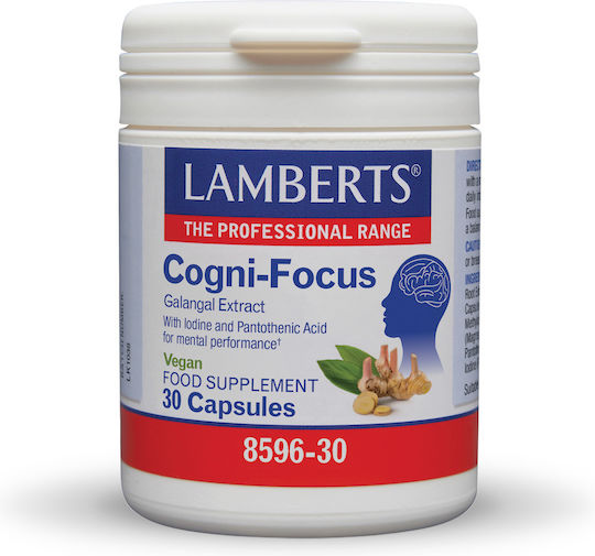 Lamberts Cogni-focus Galangal 30 Kapseln Ingwer