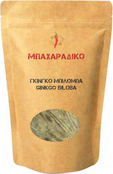Μπαχαραδικο Γκίνγκο Μπιλόμπα Ginkgo Biloba 1000gr