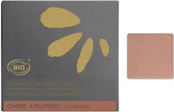 Fleurance Nature Eye Shadow Copper Iridescent Shade No 220 1.7g