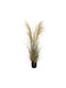 Artificial Pampas Grass Plant Brown Plastic Pot 218cm