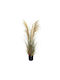 Artificial Pampas Grass Plant Brown Plastic Pot 182 cm