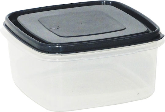 Viomes Mittagsboxen Transparent 5300ml Viomes Mittagsboxen Transparent 5300ml