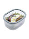 Status Plastic Lunch Box Green 2300ml