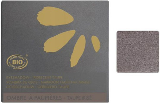 Fleurance Nature Сенки за Очи в Твърда Форма Taupe Iridescent No. 240 1.7гр