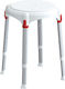 King Bathroom Seat