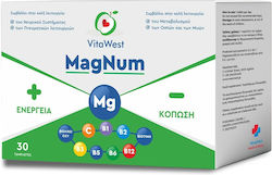 WestΜed H&B VitaWest MagNum 30 Registerkarten WestΜed H&B VitaWest MagNum 30 Registerkarten