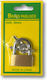 Bronze Padlock Brass with Key 30mm 1pcs