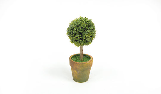 Mini Buchsbaumkugel im Topf 15cm x 6cm St12-t314 0532023