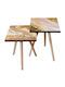 Rectangular Side Table Wooden Multicolour 2 Pieces M35xW35xH47cm