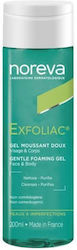 Noreva Exfoliac Gel Καθαρισμού Προσώπου 200ml Noreva Exfoliac Gel Καθαρισμού Προσώπου 200ml