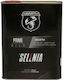 Selenia Abarth Car Oil 5W-40 2lt