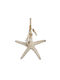 Starfish Decor MDF White-washed 30x30cm – Summer Decoration Kaemingk 833967 00051150