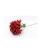 Roter Agapanthus-Zweig H78cm