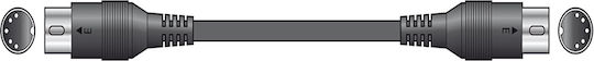 Citronic Cable Midi male - Midi male 1.5m (ICAN-190.227UK)