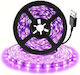 LED-Streifen Blacklight USB 5V 3m mit Netzteil