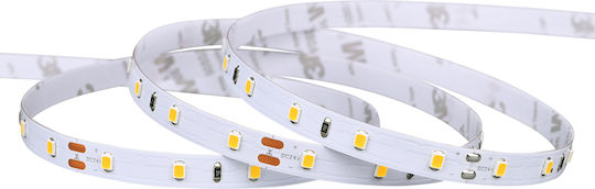 Eurospot Waterproof LED Strip 24V Warm White Light 1m Type SMD2835