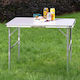Bakaji Tabelle Aluminium für Camping Klappbar Campingmöbel 90x60x60cm Gray