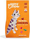 Dry Food for Adult Cats with Chicken 4kg