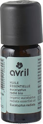 Avril Bio Eucalyptus Radiata Essential Oil Organic Eucalyptus Radiata Essential Oil 10ml Avril Bio Eucalyptus Radiata Essential Oil Organic Eucalyptus Radiata Essential Oil 10ml