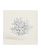 Beauty Home Κοραλι Λευκο Βαση Plexi Glass 24 X 24 Cm