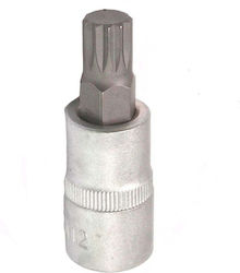 Καρυδάκι 1/2" Κοντό Spline Xzn M12 Καρυδάκι 1/2" Κοντό Spline Xzn M12