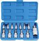 Set de biți cu țeavă de 1/2" 13 bucăți