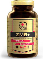 Immune-Labs ZMA / Ψευδάργυρος / Μαγνήσιο 120 κάψουλες
