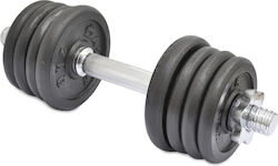 Master Αλτήρας 1x 15kg