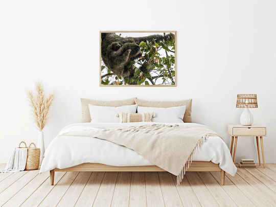 Πίνακας Sloth Baby In Tree Sloth Baby In Tree 90x60
