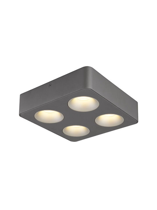 Globo Lighting LED Warm White Spot with 4 Lights in Gray Color