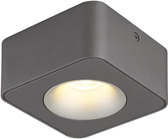 Globo Lighting Single LED Warm White Spot in Gray Color
