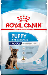 Royal Canin Maxi Puppy 3kg Dry Food for Large B...