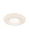 Globo Lighting Ceiling Mount Light Transparent