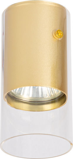 Eko Light Single Spot with Socket GU10 in Gold Color