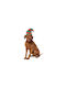 Fuzzyard Dog Headband Accessory Christmas Elf Hat L XL
