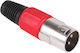 Roter männlicher Mikrofonstecker