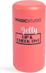 Magic Studio Stick Fard de obraz 02 Rosy Glow 6gr