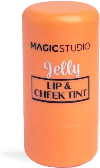 Magic Studio Stick Rouge 01 Coral Breeze 6gr