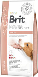 Brit Renal Brit Renal