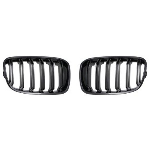 Car Decorative Mask BMW F20 / M1