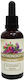 HealthTrade Tincture Lungwort 50ml Green