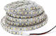 Eko Light Ταινία LED Ψυχρό Λευκό Φως 5m