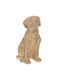 Iliadis Decorative Dog Polyresin 35x21x47cm 1pcs