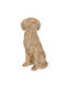 Iliadis Decorative Dog Polyresin 30x42x70cm 1pcs