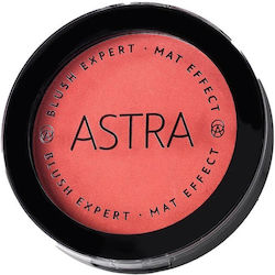 Astra Make Up Експерт Руж 05