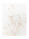 Poster Dry Flower Pst2588 21cm X 30cm