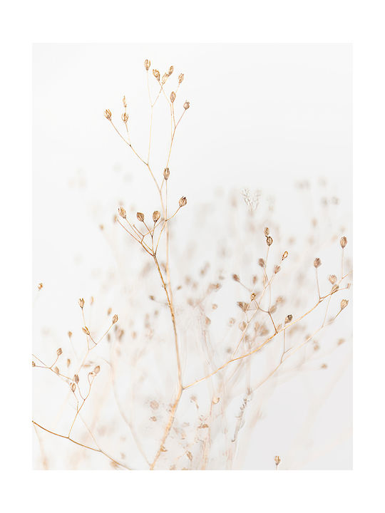 Poster Dry Flower Pst2588 60cm X 90cm