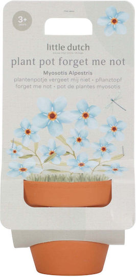 Little Dutch Γλαστράκι Φυτό Μη Λησμόνει Little Dutch Γλαστράκι Φυτό Μη Λησμόνει