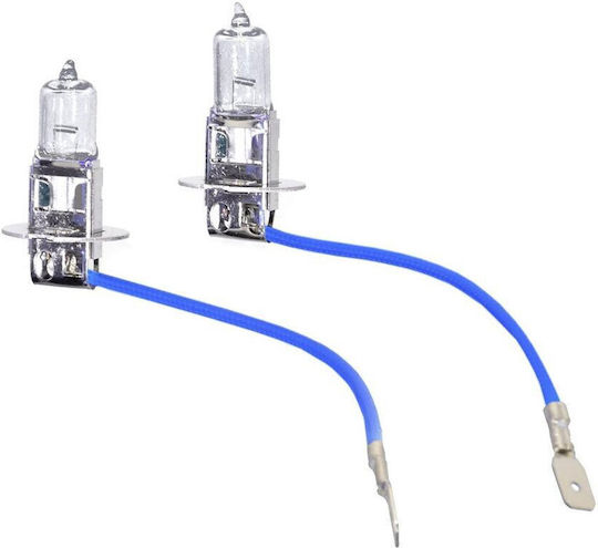 Compass Lămpi Autoturismului H3 Halogen 12V 55W 2buc