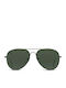Twig Pennac Unisex Sunglasses with Green Metallic Frame and Green Lens PEN08